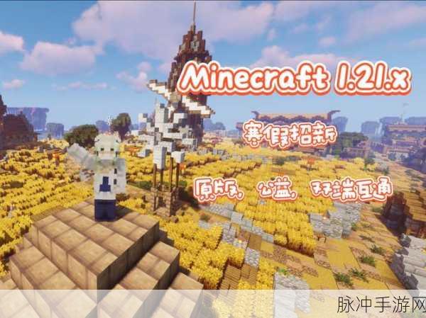 从零开始,全面探索我的世界Minecraft服务器搭建指南