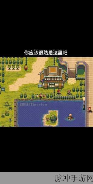 口袋妖怪釜炎镇道馆详细走法攻略及路线指引大揭秘