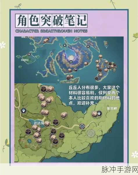 原神角色深度解析，九条裟罗——雷系增伤的曙光