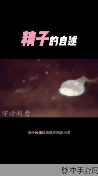射雕手游甜蜜奇遇，揭秘螃蟹与橙子的奇妙邂逅速通攻略