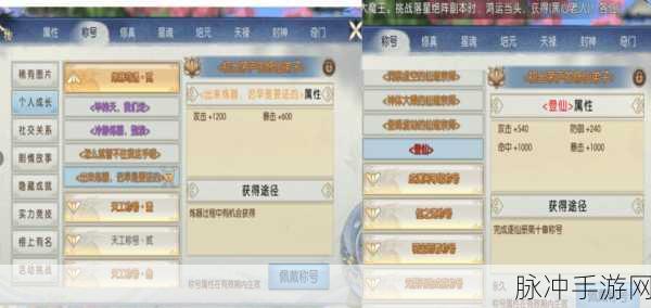 诛仙手游法宝铸元，技巧解析与高效搭配推荐指南