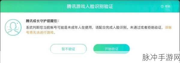王者荣耀引入人脸识别功能，优化资源管理，提升游戏技巧新攻略