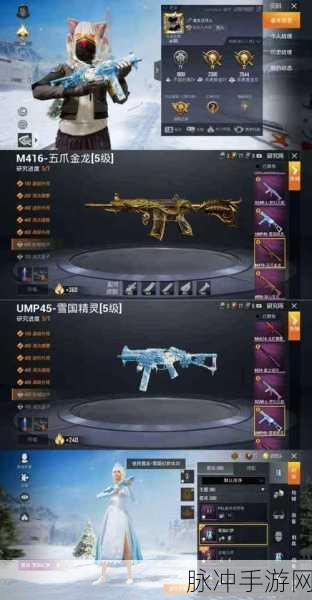 和平精英深度解析,金玉无双UMP45实战表现与攻略指南