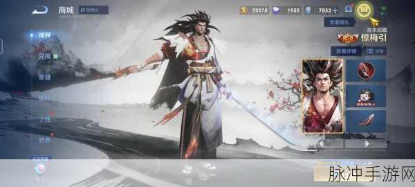 王者荣耀宫本惊梅引皮肤深度解析,非限定传说,武侠意境的极致展现