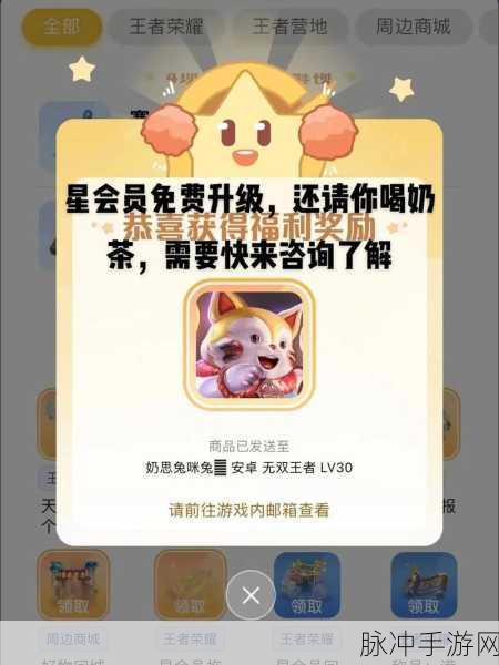 王者荣耀星会员到15级需要多少经验?星会员达到15级所需经验值全面解析