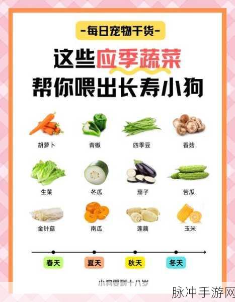 解锁小森生活蔬菜味增汤,食谱与攻略全揭秘指南