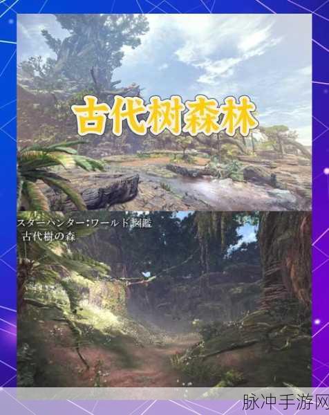 怪物猎人世界手游珊瑚台北东营地解锁全攻略