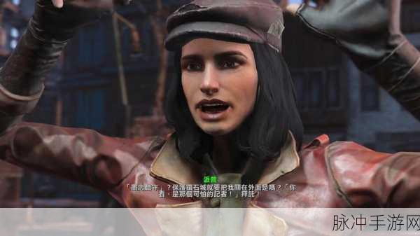 辐射4深度解析,指派哪个帮派能带来更佳游戏体验与战略优势?
