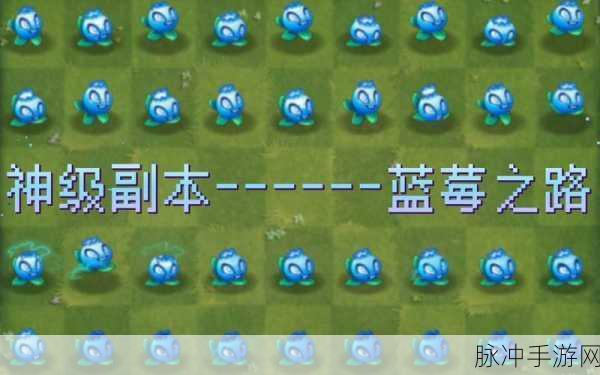 植物大战僵尸2蓝莓挂件搭配全攻略