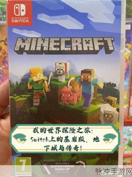 探索无尽冒险,我的世界地下城模组基岩版深度攻略