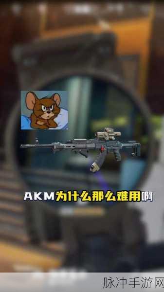 香肠派对AKM性能深度解析,掌握这把利器,称霸战场不是梦
