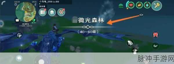 探索创造与魔法的奇幻之地，揭秘旧微光森林位置与资源