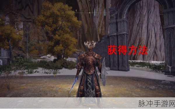 艾尔登法环熔炉套装获取全攻略,骑士荣耀的再现