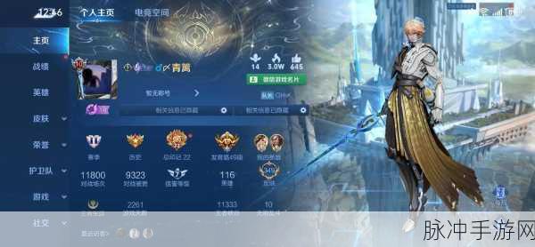 王者荣耀顶尖主播张大仙的直播平台揭秘及游戏攻略分享