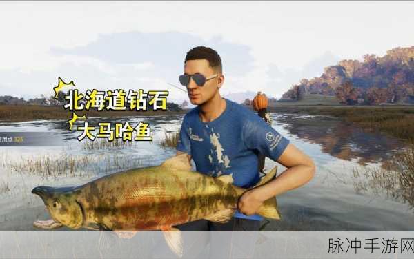 小森生活大马哈鱼钓取全攻略,掌握技巧,轻松垂钓大马哈鱼