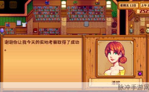 星露谷物语深度攻略,揭秘潘妮的喜好与最爱物品