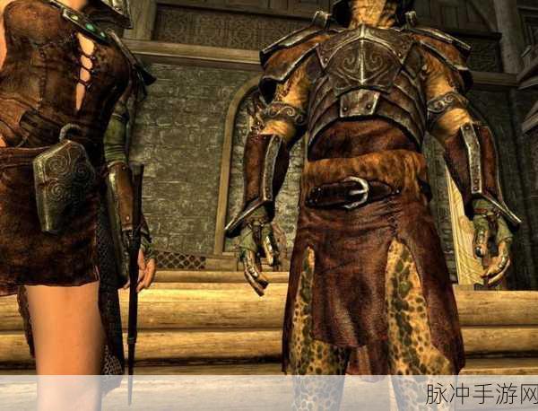 上古卷轴5手游深度攻略,如何获取魔冰盔甲MOD