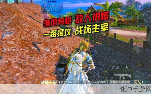 和平精英奇幻大乱斗深度攻略，揭秘最强大角色，谁将主宰战场巅峰对决？