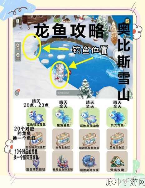 奥比岛手游深度攻略，详尽解析东海如意龙鱼获取全攻略