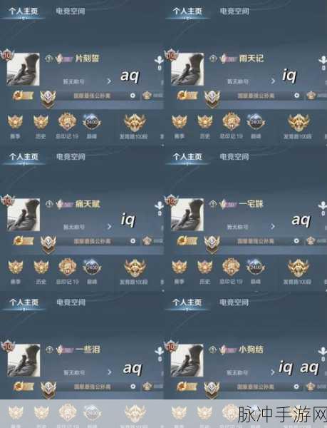 王者荣耀名字前面的数字含义全解析，手游公司视角的攻略数据