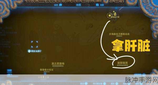 塞尔达滑翔伞任务全攻略,解锁高空自由翱翔的秘籍