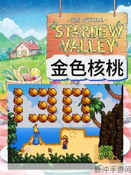 星露谷物语高效获取金核桃全攻略,刷金核桃方法与技巧深度解析