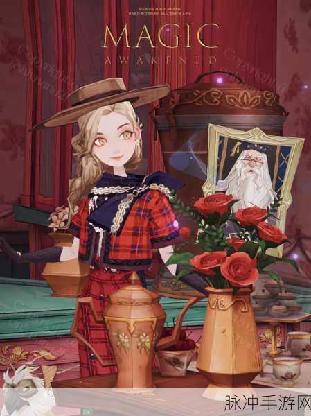 哈利波特魔法觉醒,揭秘红色雷云之谜的全方位攻略