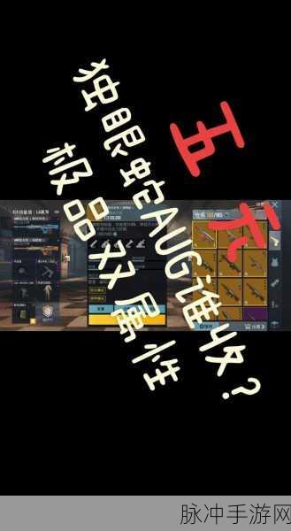 地铁逃生独眼蛇AK稀有度深度解析与攻略指南