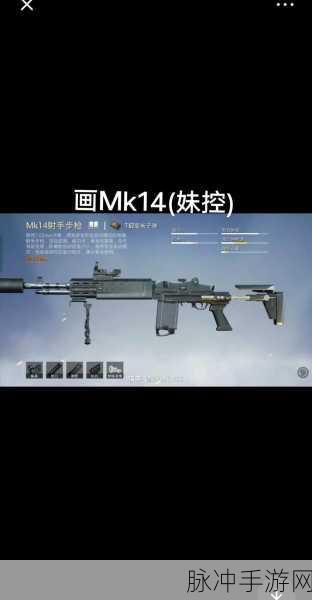 地铁逃生独眼蛇AK稀有度深度解析与攻略指南