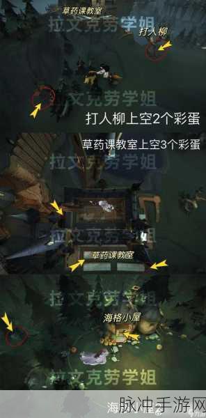 哈利波特魔法觉醒,揭秘海格小屋南瓜彩蛋的通关秘籍