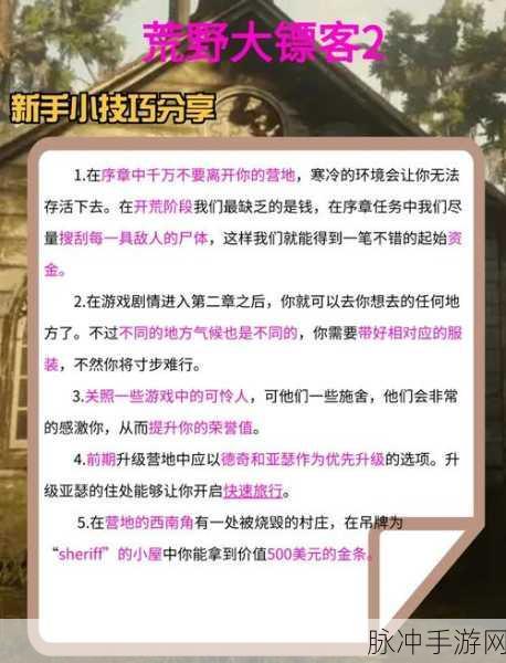 荒野大镖客2收藏家职业攻略,深度解析与全面指南