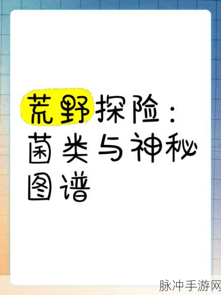 深入揭秘我的世界蘑菇岛群系,菌丝编织的奇幻生态与未解之谜