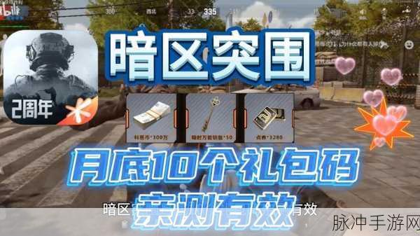 暗区突围礼包码解锁秘籍,独家揭秘输入位置与获取全攻略