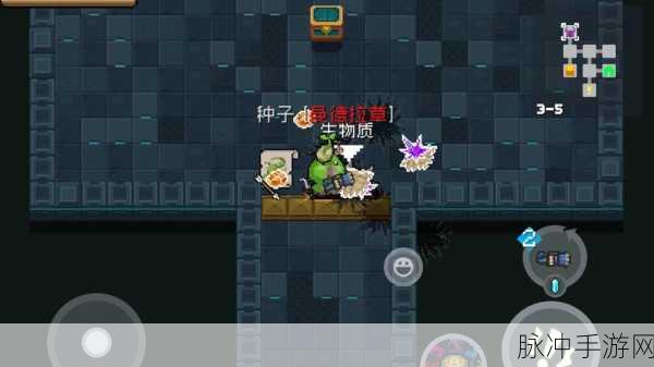 元气骑士守墓甲虫王击败全攻略,解锁隐藏关卡的胜利之道