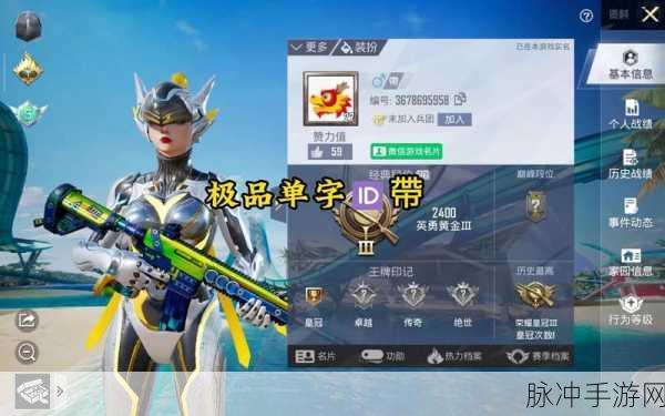 2025年和平精英单字ID市场行情深度剖析,热门单字ID价格分析与预估