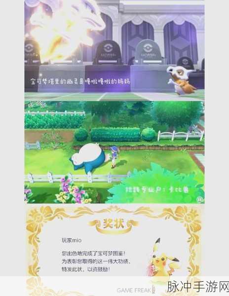 精灵宝可梦GO常见术语详解,手游公司视角的攻略指南