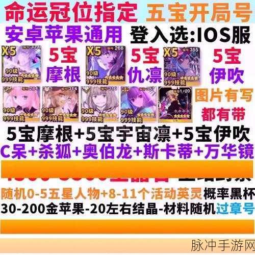 命运-冠位指定FGO极干燥的柴火高效获取攻略
