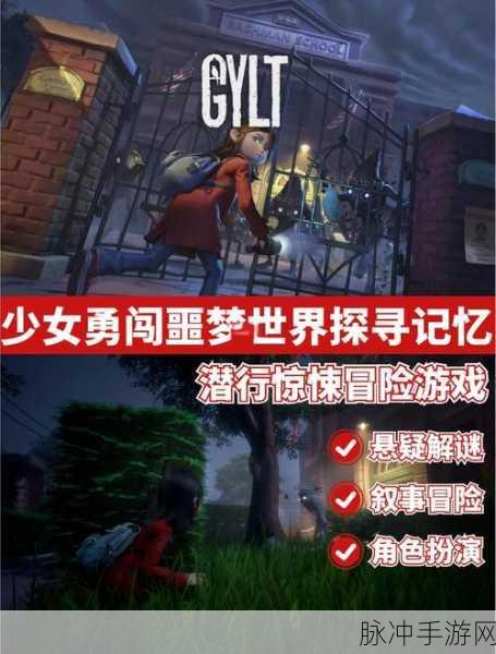 恐怖校园解谜手游深度攻略，探索令人深思的冒险之旅