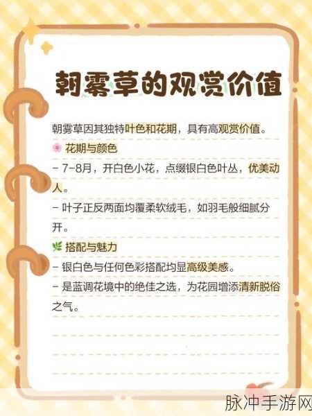 冰原守卫者，揭秘朝雾草的神奇效用与获取攻略