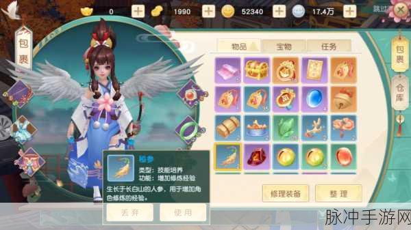 神雕侠侣2手游攻略,突破绝情谷,前往襄阳的详尽指南
