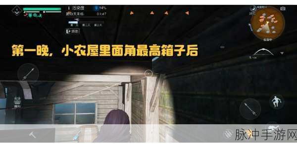 黎明觉醒，探索喇叭菌的奇妙之旅