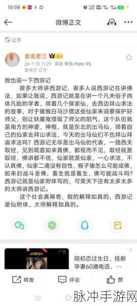 醉西游罗刹深度解析,职业魅力、技能强度与实战心得