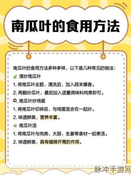 摩尔庄园南瓜糖蔬叶饮获取全攻略，详细步骤与实用技巧大揭秘