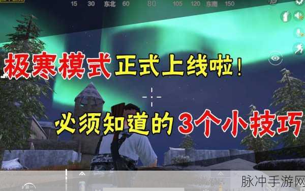 和平精英极寒模式生存指南,掌握生火技巧,温暖度过暴风雪