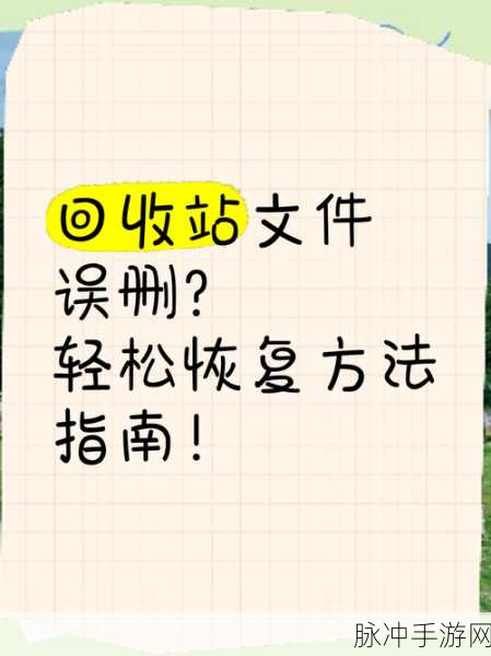 ES文件浏览器在手游管理中的应用,回收站关闭方法详解