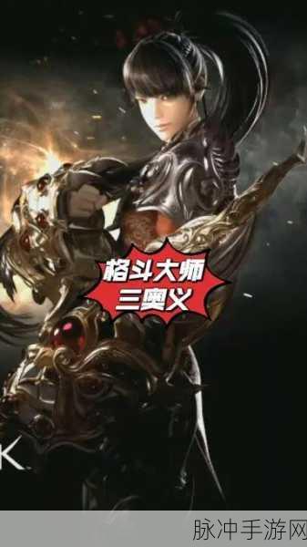 失落的方舟格斗大师深度攻略,技能搭配与实战技巧全面剖析