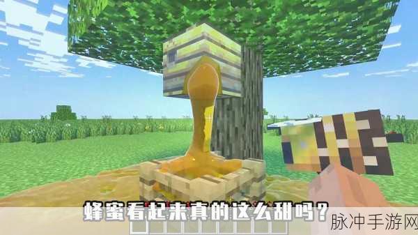 我的世界,手持蜂蜜瓶,踏上甜蜜的探险之旅全攻略