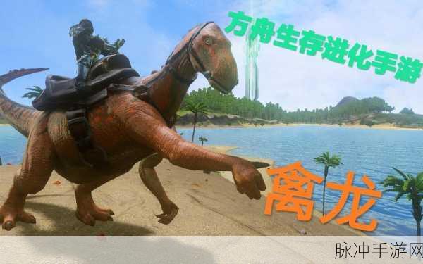 方舟生存进化手游,全面解析似鸡龙的驯服与饮食指南