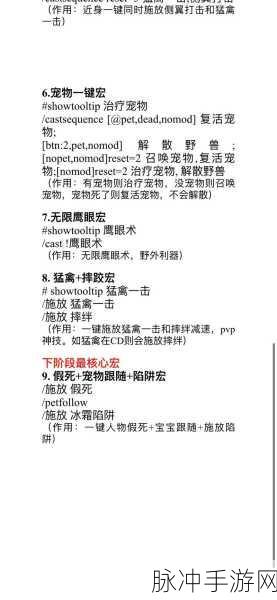 魔兽世界怀旧服猎人宏命令深度解析与实战应用