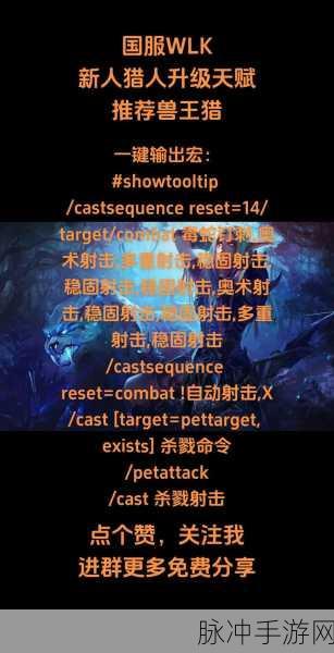 魔兽世界怀旧服猎人宏命令深度解析与实战应用